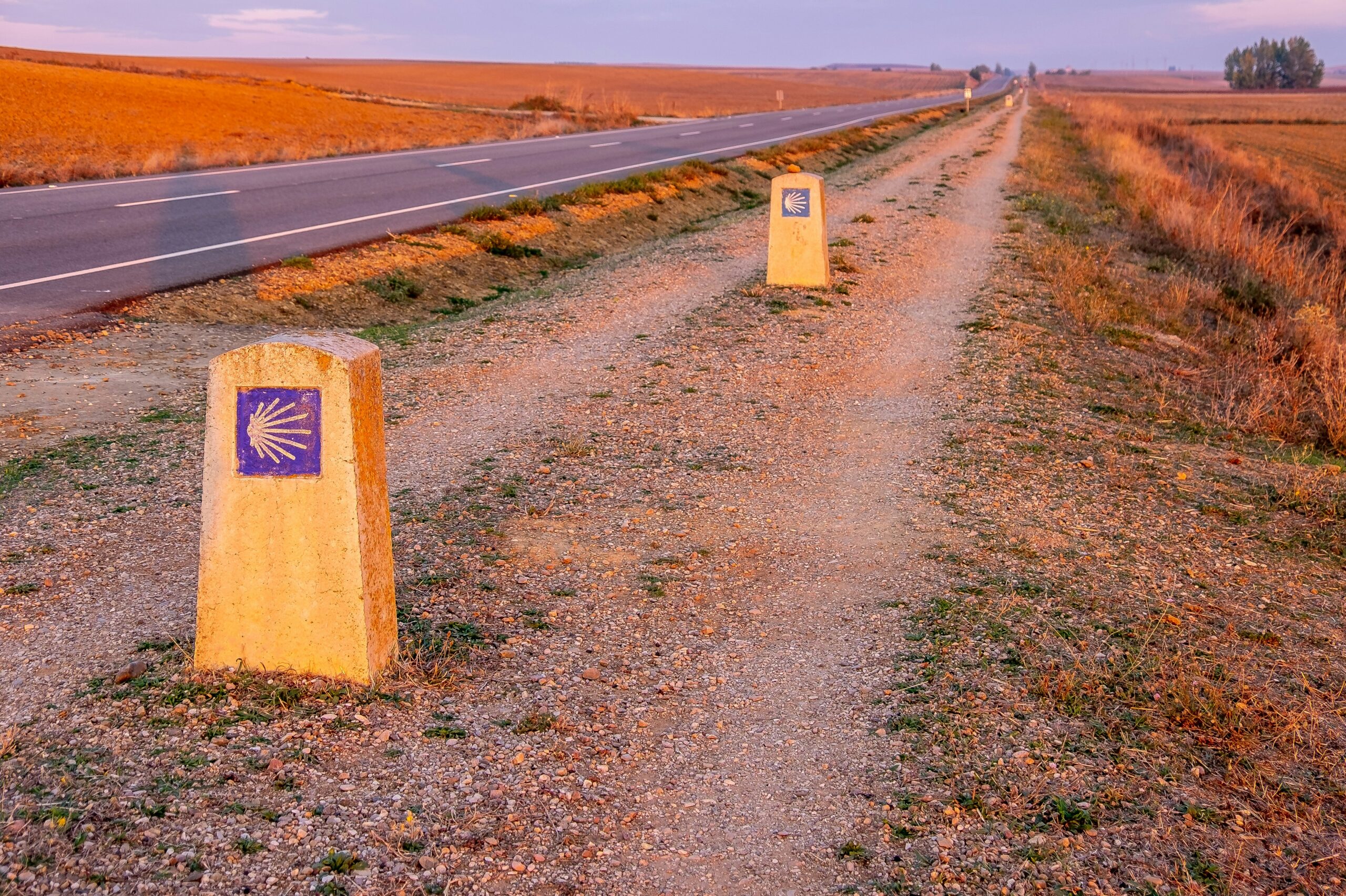 camino santiago trail signpost - Camino de Santiago