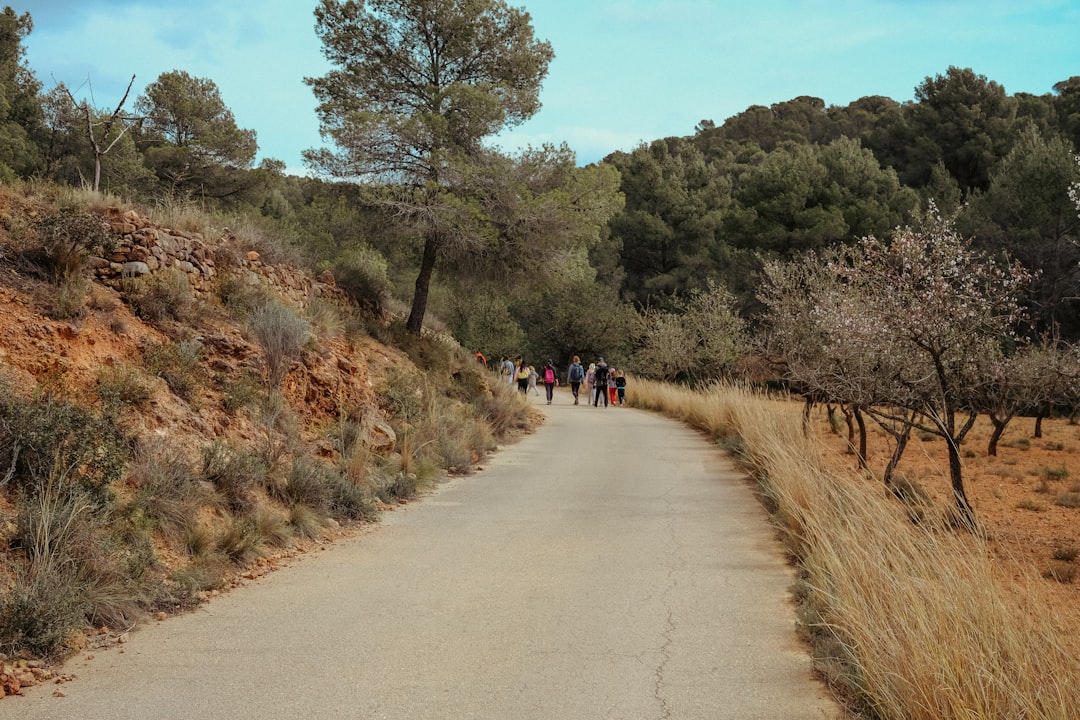 pilgrim walking spain countryside - Camino de Santiago