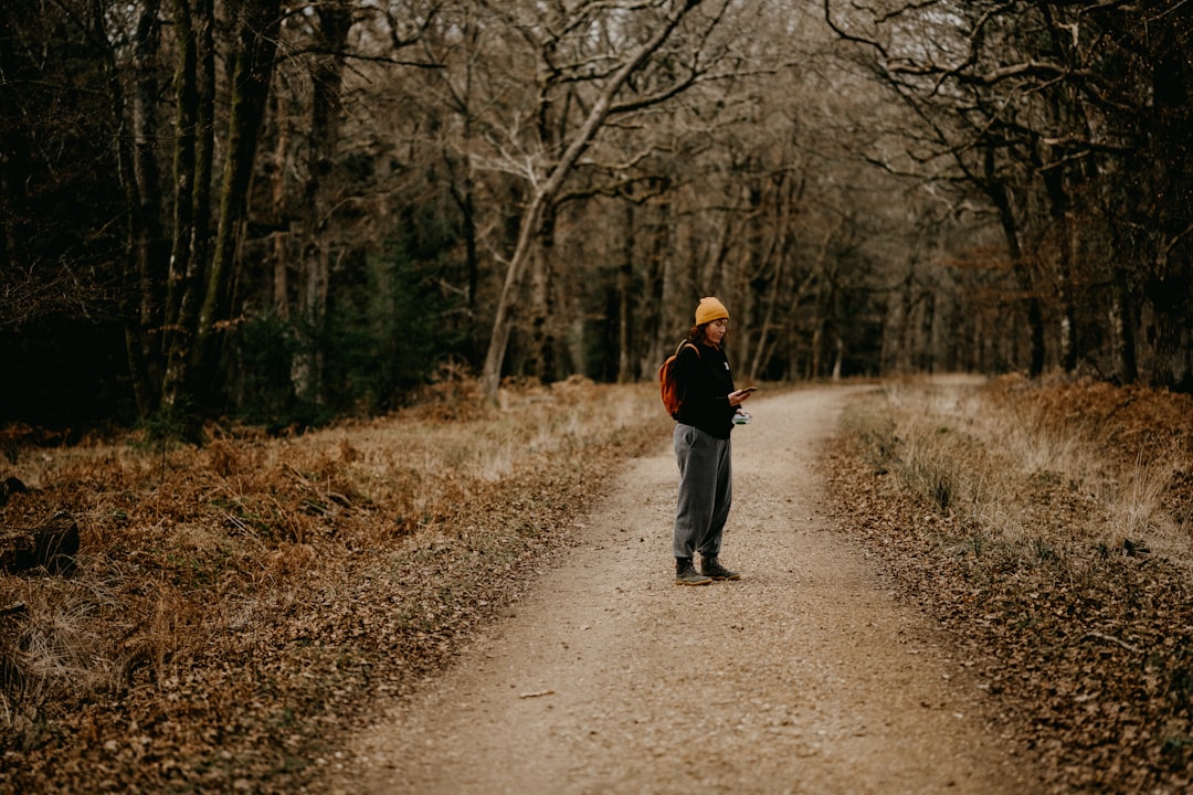 senior hiker walking stick countryside - Camino de Santiago