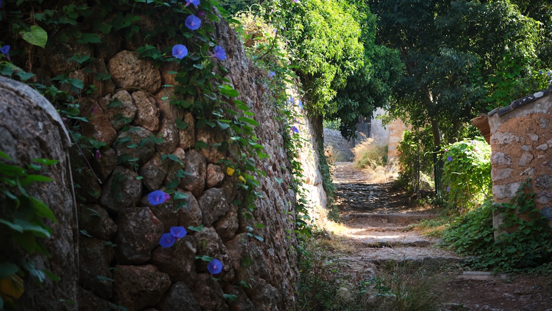 pilgrim walking spain path - Camino de Santiago