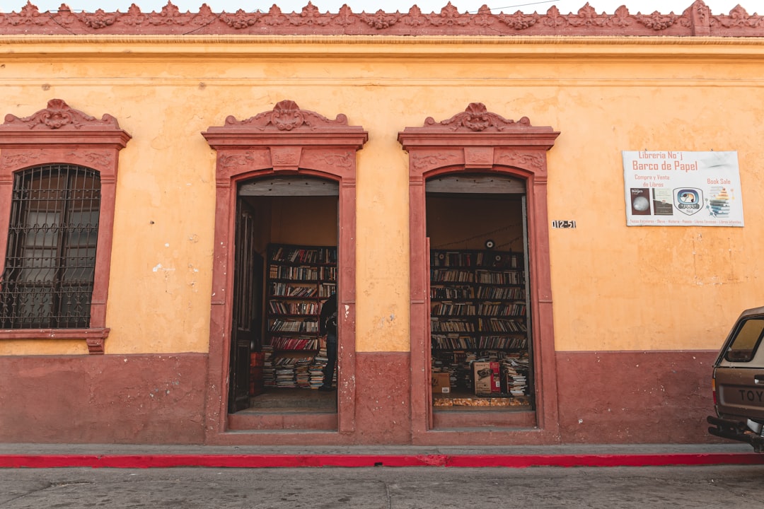 books reading travel camino santiago - Camino de Santiago