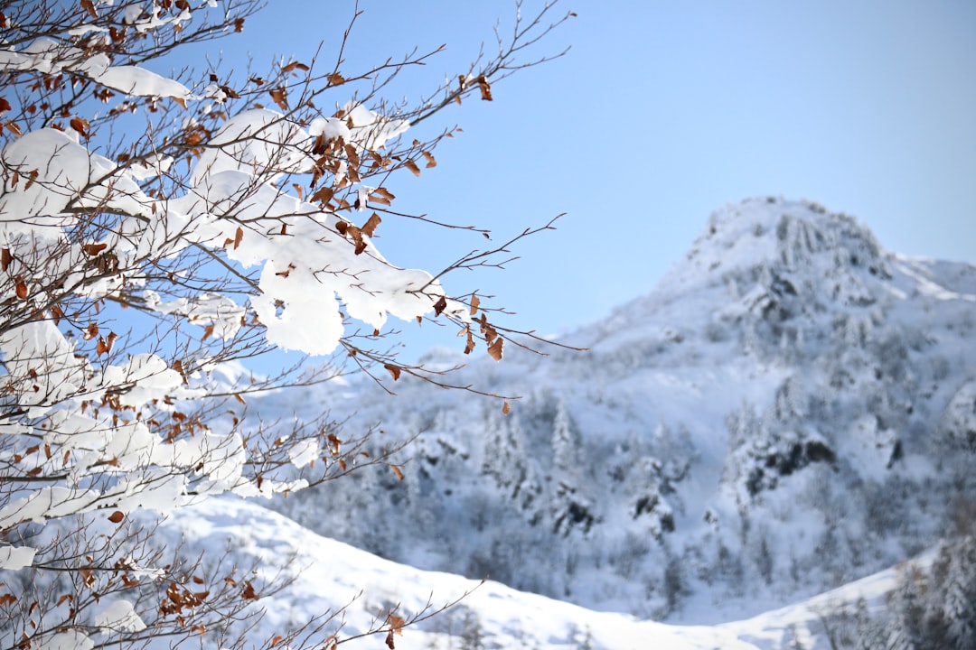 winter mountain snow - Camino de Santiago